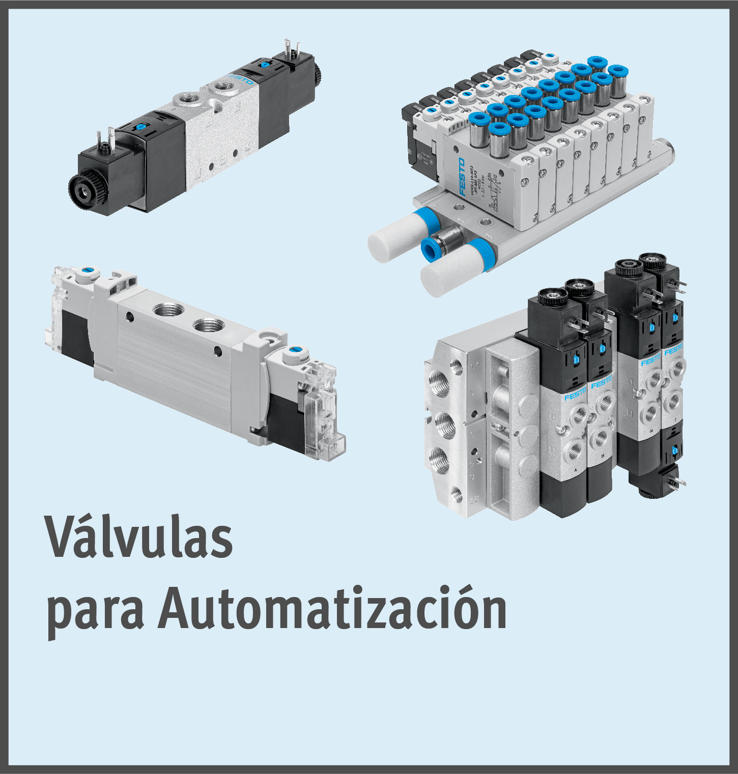 VALVULAS